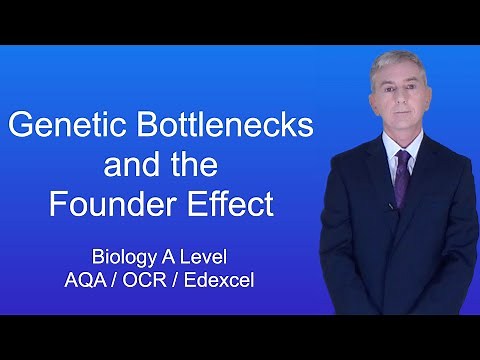 A Level Biology Revision (Year 13) "Genetic Bottlenecks and the Founder Effect"