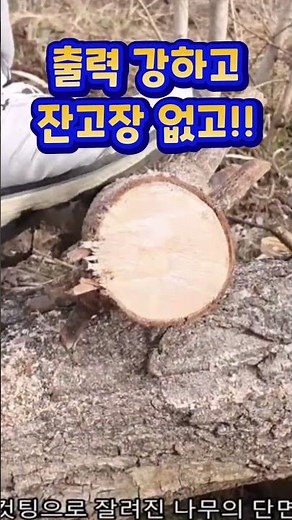🪚8인치 충전 체인톱 추천 KS08 마끼다 디월트 배터리 호환 전동톱 전기톱