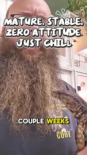 1.3K views · 20 reactions | Do Dumeril Monitors bite? Not this one. | Bama Reptiles & Ranch | Facebook