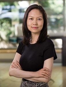 Ning Lin: A hurricane generator for conducting risk analyses