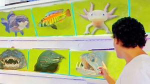 One day, two fish stores, and a rule: If it's rare, it's coming home!