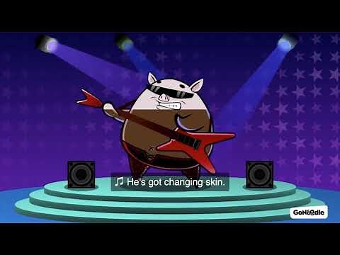 Punk Pigs