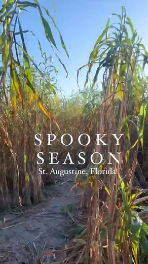 71 reactions | #SpookySeason  is back in #StAugustine! Ghost Tours ...