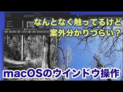 【macOS】Macのウインドウ操作の基本