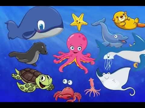 The First Sea Animal Words for Toddlers Fun Show