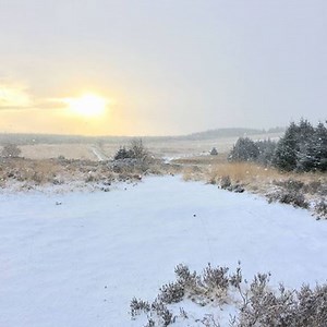 17K views · 67 reactions | Devon Live on Reels | Facebook