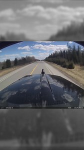 🚚💥 Close Call on the Highway! 🎥 Check out this dashcam footage capturing a heart-stopping moment on the highway. Watch as our dashcammer narrowly avoids a major accident, threading the needle between semis after one with burn damage pulls off, sparking a chain reaction. "My life flashed in front of my eyes," says the driver. Have you ever had a close call like this? Share your stories below. 🛣️👀 👋 We have 2024 Peterbilts 579 and 567 in our rapidly growing company. We run 579s in the dry va