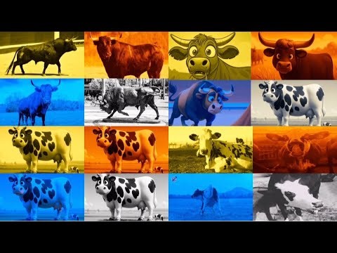 FUNNY BULLS. MEGA BATTLE. EXE 4 COLORS 4 MUSIC