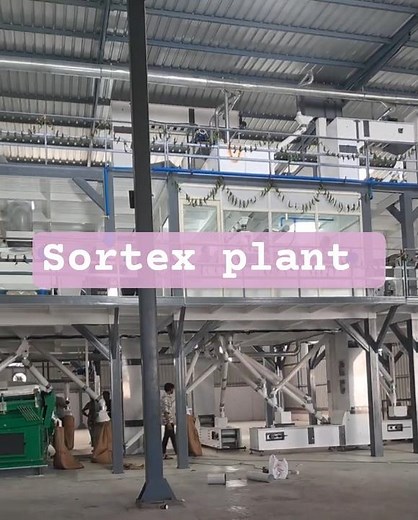 new Sortex Plant manufacturer #sorts #youtuber #youtube #youtubeshorts#viralvideo #viral#sortfeed