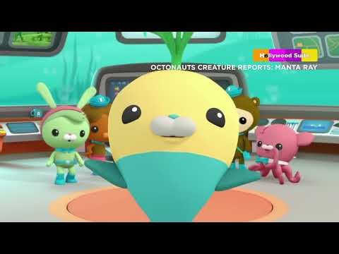 Octonauts Creature Reports 3 on Hollywood Suite on Slice TV Movie On Demand HD Slice TV (2026)