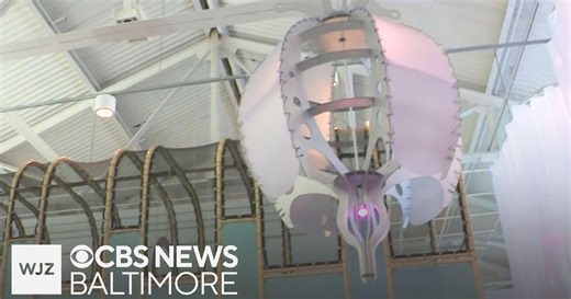 Port Discovery Children's Museum has new exhibits | Around Town