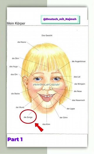 German Face Vocabulary 😁 | Das Gesicht, die Nase & mehr!