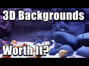 The Truth About 3D Aquarium Backgrounds - Are They Really Worth It?