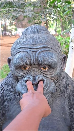 Gorilla 🦍 के नाक में ऊंगली फस गयी 😱 😂 😜 #shorts