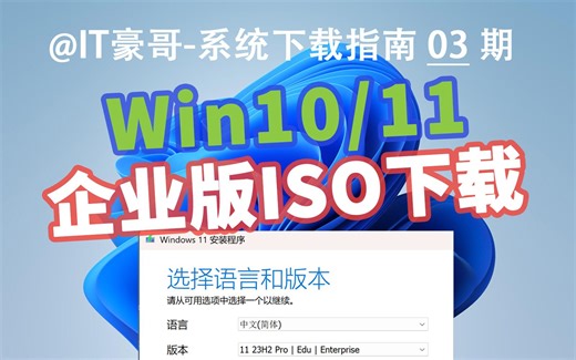 教程 | Windows 10/11 企业版ISO映像下载 (微软原版、纯净无精简、多语言可选、Enterprise) 【系统下载指南 03期】