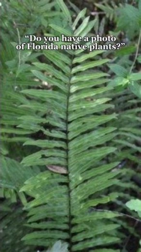 16 reactions | Sprucing up your yard this spring?  Consider...