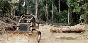 Massive road and rail projects could be Africa’s greatest environmental challenge