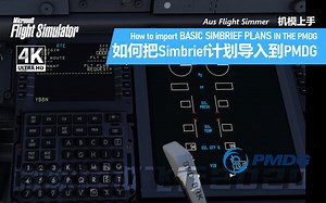 【机模上手】PMDG 737 Simbrief计划导入 How to import BASIC SIMBRIEF PLANS IN THE PMDG 2023