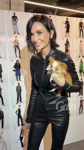 DEMI MOORE ET SON CHIEN AU DÉFILÉ GUCCI L’actrice @demimoore a fait sensation cet après-midi à Milan dans un full look cuir accompagnée de son petit chihuahua. — #demimoore #gucci #fashionweek #mfw Images : @galafr by @juliettefgt | Gala