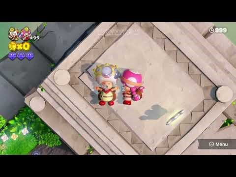 Captain Toad and Toadette sleeping