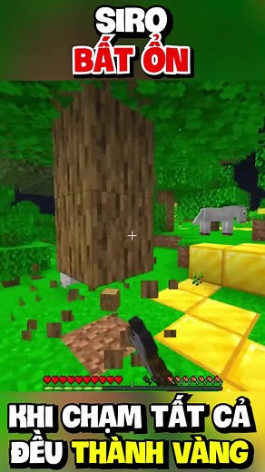 Siro bất ổn khi chạm tất cả đều thành vàng 😂#minecraft #minecraftgame #minecraftedits #minecrafttutorial #funnygamingtv #5minutescraftmeme #tsunamiminecraft #NhữngGameHay #minecraftparkourtt #xâynhàminecraft #siro #tiktokpromote #games #SiroOfficial #herobrine #giaitri #GameMinecraft #cáchtảiminecraft #miniworld #heriteam #siro @SIRO @Sammy Đào @Kamui TV @Phong