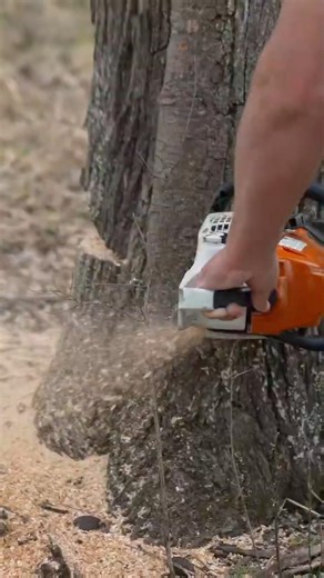 Stop fighting your gear. Make spring work easier with the Rebel Box!