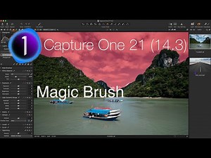 Magic Brush in Capture One 21 14.3 and New Export