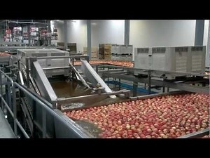 Packinglines Arauco SA sistema de vaciado en agua