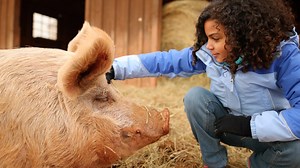 254K views · 4.8K reactions | In a world filled with cruelty and...