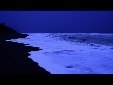 Deep Sleeping 10 Hours - Relaxing Ocean Waves That Heal Stress Anxiety For A Peaceful Night Sleep