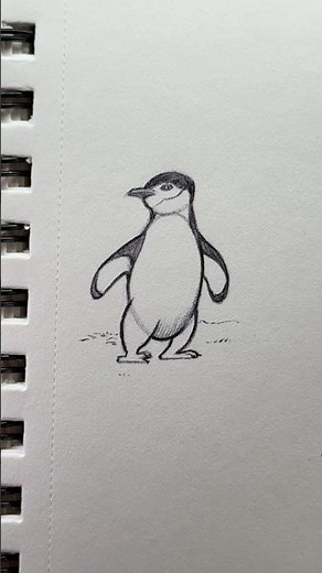 How to Draw a Penguin 🐧✍️ #howtodraw #tutorial #penguin #draw #drawing #sketch #art #artist #shorts