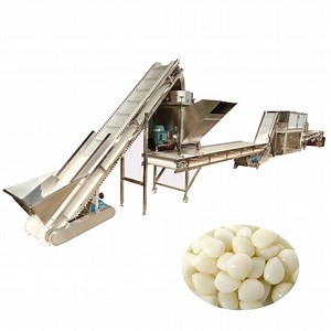 [Hot Item] Commercial Garlic Clean Machine Garlic Peeling Production Line