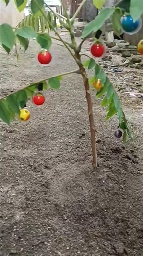 candy ball #reels #asmr #shorts