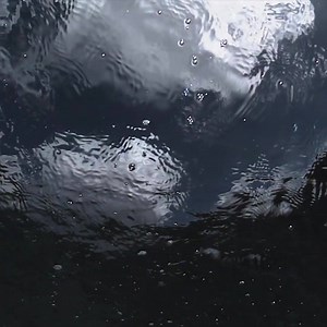 1.1K reactions · 162 shares | Tides turn. Powers shift. A family divides. Season 2 of Animal Kingdom returns in 2017. But first, binge Season 1 Dec. 28 at 1PM ET on TNT. | Animal Kingdom TNT | Facebook