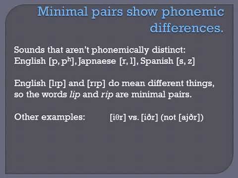 Introduction to Phonetics and Phonology 2