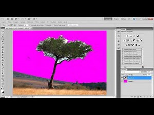 Tutorial de como usar a Varinha Mágica e Ferramenta de Seleção Rápida
