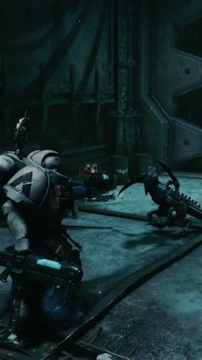 CODEX LIBRARIUM ENTRY 0007 #fyp #warhammer40k #warhammer40klore #spacemarines #novamarines