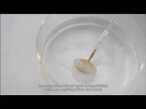 How to load Cera ASD/VSD/PDA Occluder of Lifetech Scientific