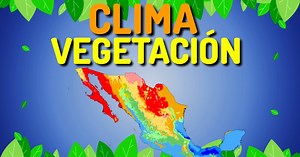 Regiones de climas y vegetación de México