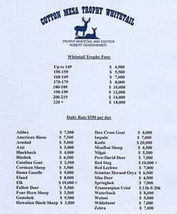 Texas Hunting Price List | Cotton Mesa Trophy Whitetail and Exotics