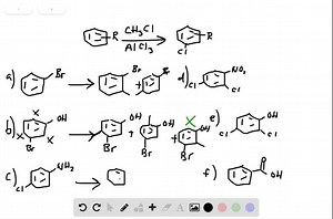 Predict the major monoalkylation products you would expect to obtain from reaction of the following substances with chloromethane and AlCl3: (a) Bromobenzene (b) m -Bromophenol (c) p -Chloroaniline (d) 2,4 -Dichloronitrobenzene (e) 2,4 -Dichlorophenol (f) Benzoic acid (g) p -Methylbenzenesulfonic acid (h) 2,5- Dibromotoluene | Numerade