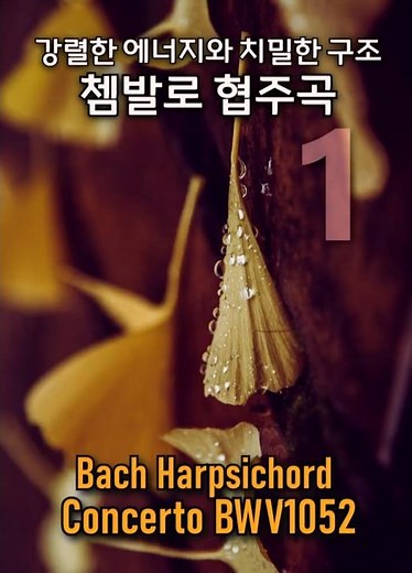 His most powerful and dramatic Bach Harpsichord Concerto BWV1052 (1.Mov) / 바흐 쳄발로 협주곡 #fullscore