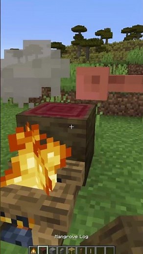 How to Build a Simple Campfire Roast in Minecraft