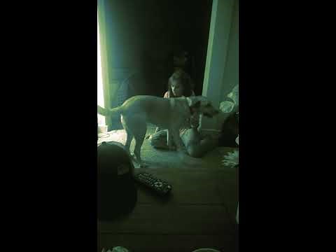 Drunk Wife Eats Ejaculation
