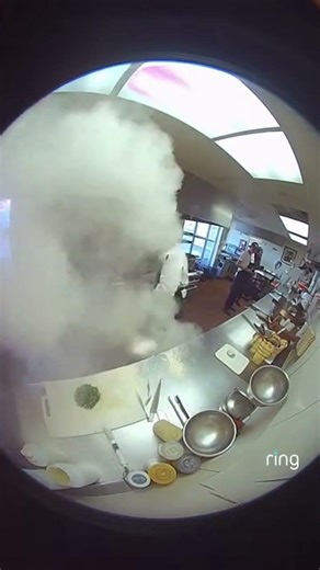 Goat Invades Kitchen and Creates Epic Flour Explosion! 😂🐐