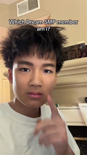 #dreamsmp #mcyt #dsmp #evol | Dream SMP