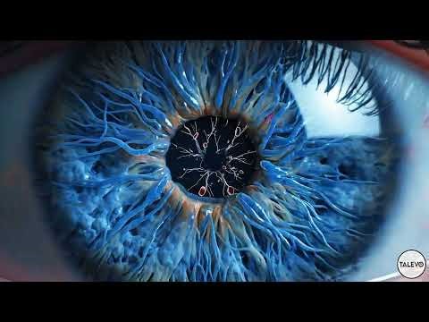 The Real Scale of the Universe: Journey from a Human Eye to Infinity (2K)