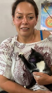 Operada y a salvo 😭 En medio de mil dificultades no dejamos de operar y de salvar vidas ! El Doctor Rafael Orozco realizó con éxito la cirugía de esta gatita que fue golpeada por un chatarrero que simplemente quería matarla ! Lamentablemente para los animales no hay una verdadera justicia ! FundaBolivar enfrenta una de las peores situaciones y tu apoyo es URGENTE ! Ayúdanos solo QUEREMOS RENACER después de la tragedia que hoy cumple un mes de haber sucedido! Necesitamos urgentemente tu apoyo co