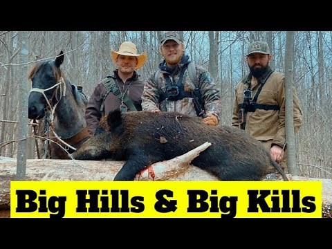 Wild Boar Hunting in Tennessee Episode #9