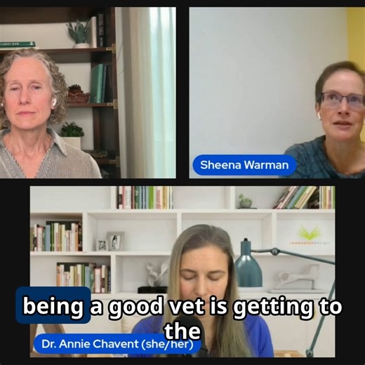 AVMA on Instagram: "Dr. Kristin Jankowski, Director of Veterinary Services at Open Door Veterinary Collective, and Dr. Sheena Warman, Professor of Veterinary Education and Deputy Head of Bristol Veterinary School, explore spectrum of care (also known as contextualized care) on the #MyVetLife Podcast this week. They discuss how it helps veterinarians deliver compassionate, evidence-based medicine that fits the lives of pets and their families. Drawing on perspectives from the U.S. and U.K., our c